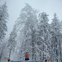 ���� ������, ���������, 44 ���� - ��������� 23 �������� 2023