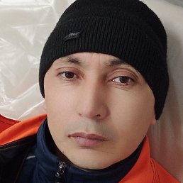 �����, �����-���������, 43 ����