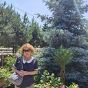 ���� ����, ���������, 62 ���� - ��������� 30 ���� 2023 � ������ ���� ����������