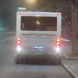 �����, ������, 35 ���