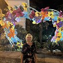 ���� ��������, �����������, 62 ���� - ��������� 29 ������� 2023 � ������ ���� ����������