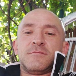 ����, �����, 41 ���