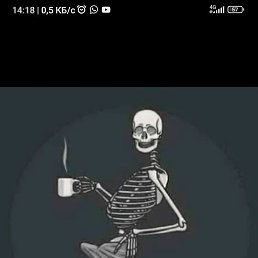 ������, �����������, 48 ���