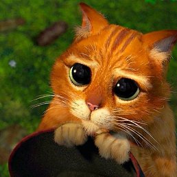 ����, ������, 55 ���