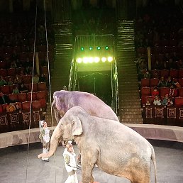 ���� �����, ������, 62 ���� - ��������� 22 ���� 2023