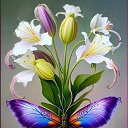 ���� ���, �����, 51 ��� - ��������� 4 ������� 2023 � ������ ���� ����������