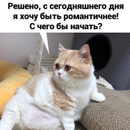 �����, �����������, 74 ����