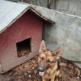 ���� �������, ���������, 64 ���� - ��������� 12 ���� 2023