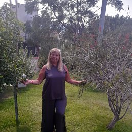 ���� �����, ��������, 58 ��� - ��������� 11 ������� 2023