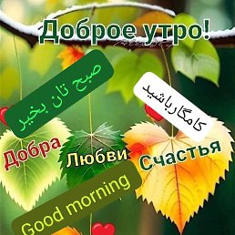 Samir, ������, 29 ���