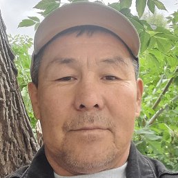 ��������, �������, 54 ����