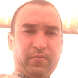 �����, ������, 38 ���