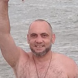 ������, ��������, 41 ���