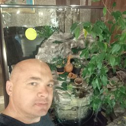 ���� �����, ������, 48 ��� - ��������� 19 ��� 2023