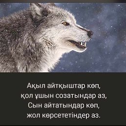 �����, ���������, 33 ����