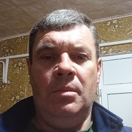 ������, ���������, 49 ���