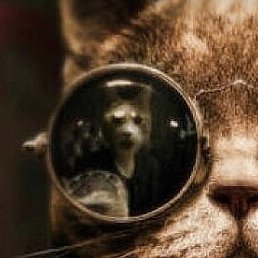 ����, �����, 48 ���