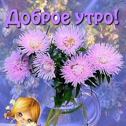 ����, ������������, 52 ����