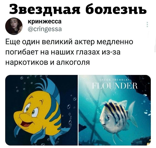 JPG - 30  2023  16:12