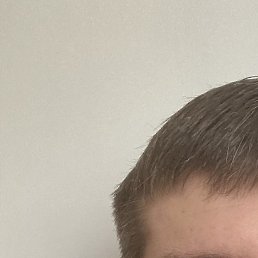 ������, ������, 41 ���