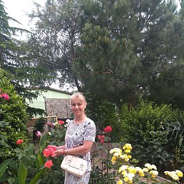 �������, �����������, 40 ���