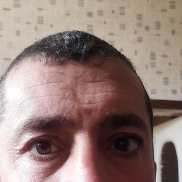 �����, ������, 38 ���