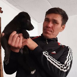 ��������, ������, 49 ���