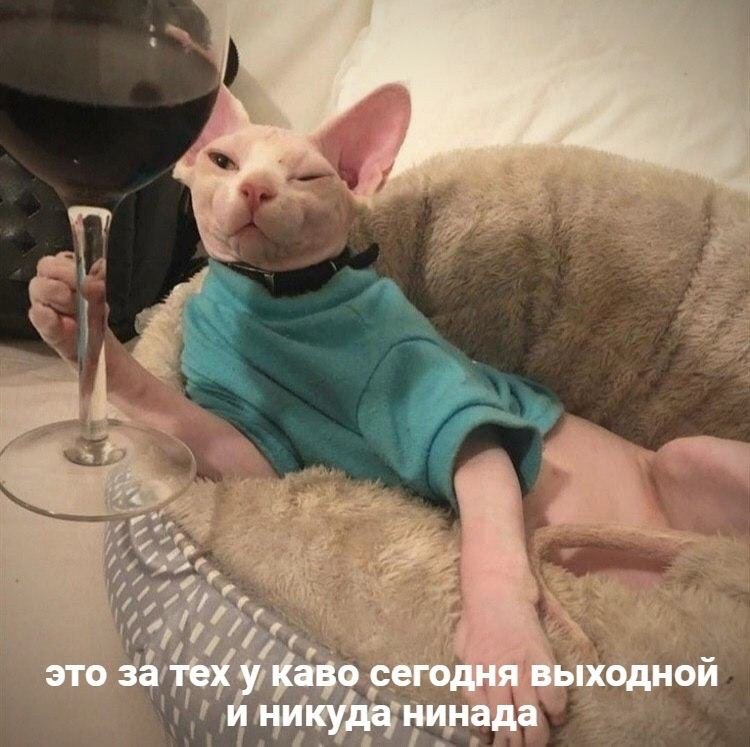 ��� �������� �������� - 16 ������� 2023 � 11:16