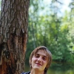 �����, �����������, 41 ���