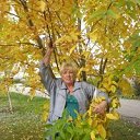 ���� �������, ��������� - ��������� 26 ������� 2023 � ������ ���� ����������