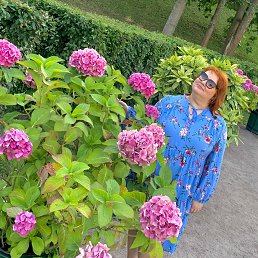 ���� ����, �����-���������, 44 ���� - ��������� 19 ���� 2023