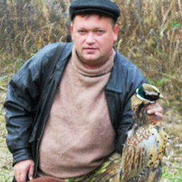 ������, �����������, 54 ����