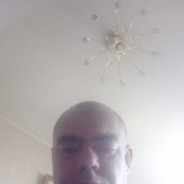 ������, ������, 41 ���