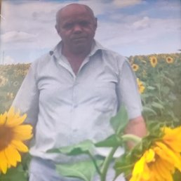 ���� ����, �������, 71 ��� - ��������� 2 ������ 2023