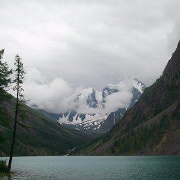 �����, �����, 56 ���