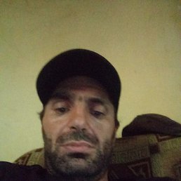 Art, 42, 