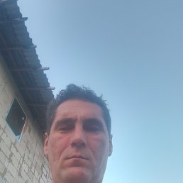 ���� �������, �����-��������� - ��������� 1 �������� 2023