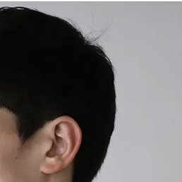 �����, �������, 47 ���