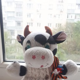 ���� ����, ������-��-����, 38 ��� - ��������� 8 ��� 2023