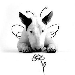 ������, ������, 45 ���