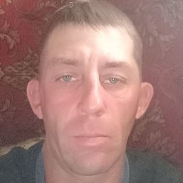 ������, ������, 37 ���