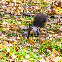 ���� ��������, ������ ��������, 22 ���� - ��������� 9 ��� 2023 � ������ ���� ����������