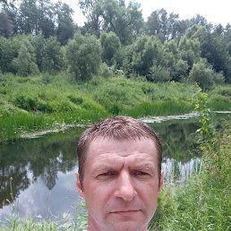 ���� �������, �����������, 46 ��� - ��������� 20 �������� 2023