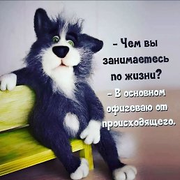 ������, ������, 54 ����