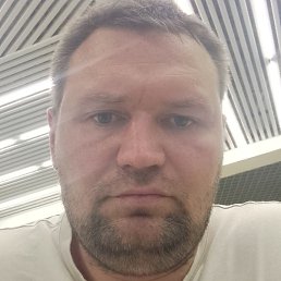 �����, ������, 41 ���