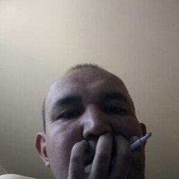 ������, ������ ��������, 41 ���