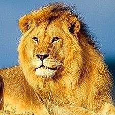 ���� Fikret, ����, 67 ��� - ��������� 22 ����� 2023