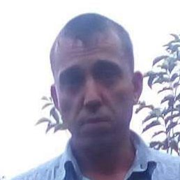 �������, ����������, 43 ����