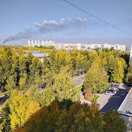 ���� ������, �������������, 50 ��� - ��������� 16 �������� 2023
