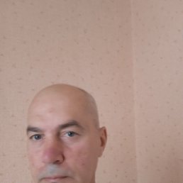 , 51 , 